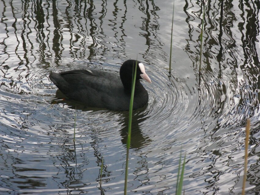 keutschachersee-08.jpg